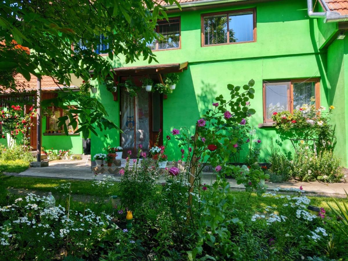 Hotel Csergő Ildikó vendégház Lăzarea Exterior foto
